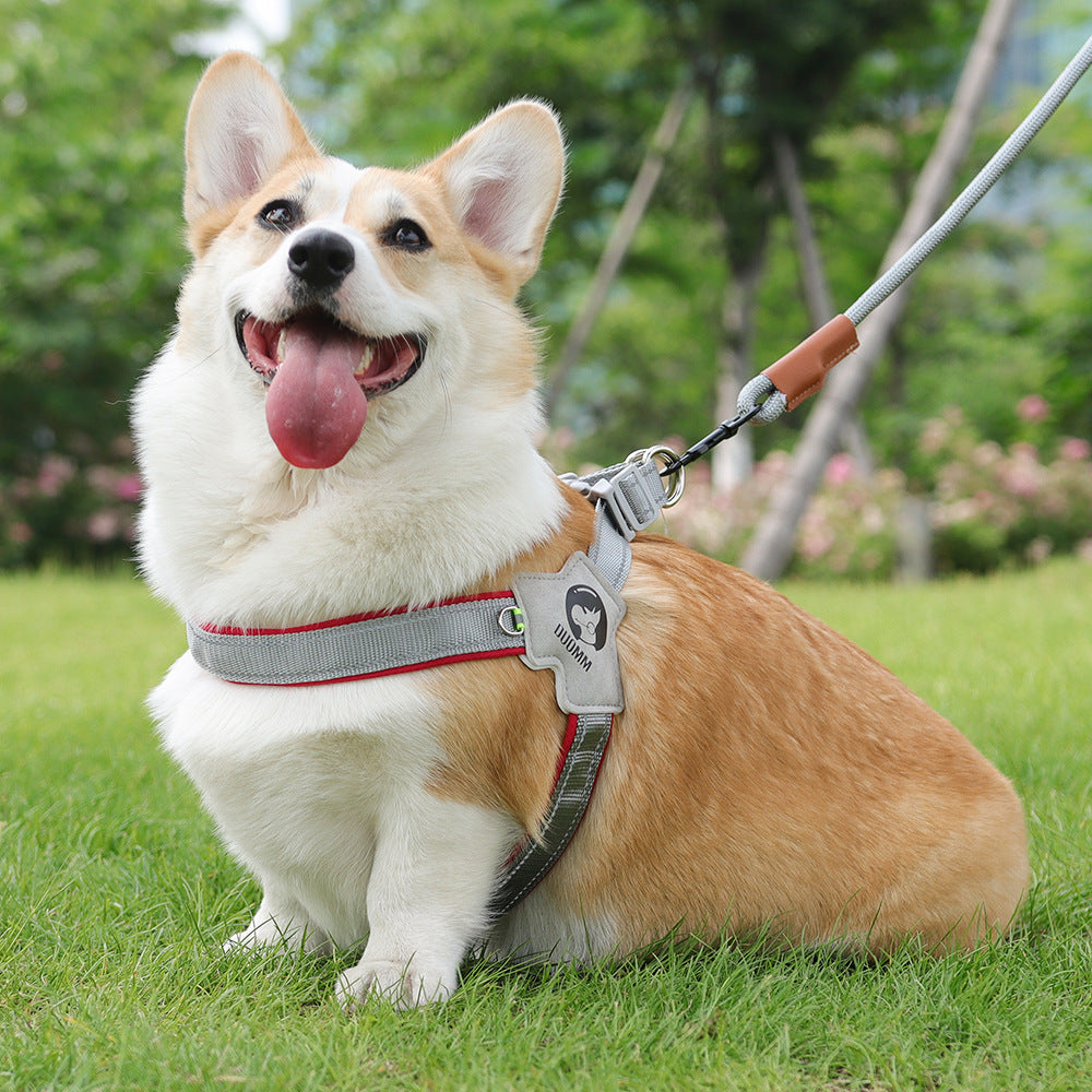 Reflective Adjustable Dog Harness
