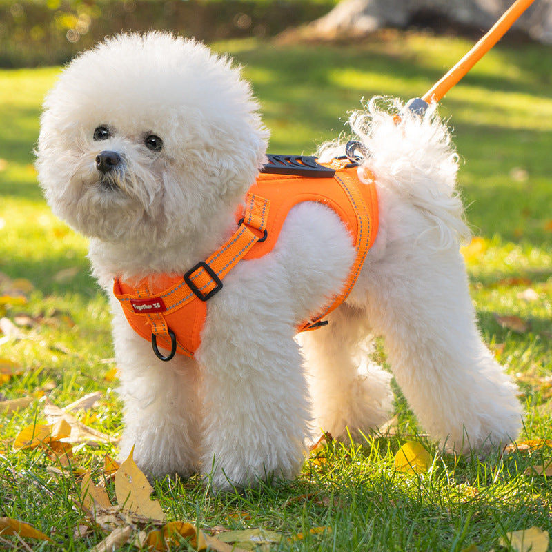 Adjustable No-Pull Dog Harness with Metal Buckle
