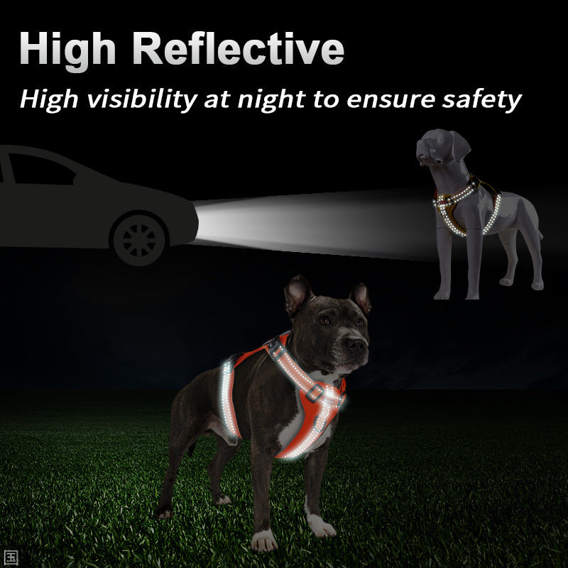 Adjustable No-Pull Dog Harness with Metal Buckle