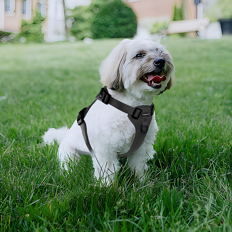 Adjustable No-Pull Dog Harness with Metal Buckle