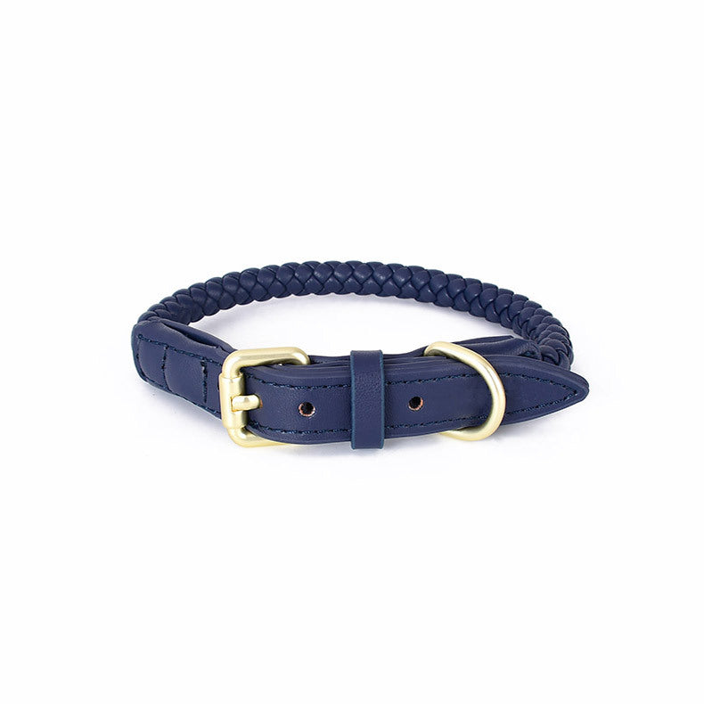 Braided Leather Dog Collar and Leash Set