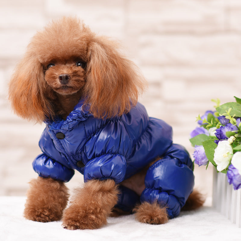 Cozy Full-Body Winter