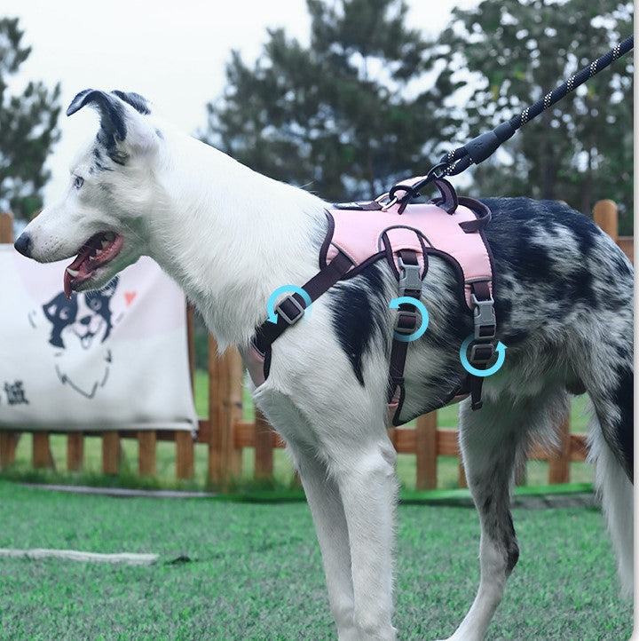 No-Pull Dog Harness with Front & Back Clips