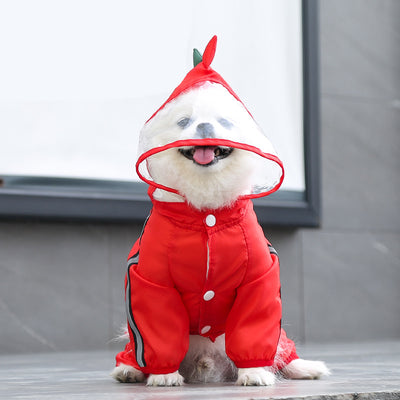 Dragon-med Dog Raincoat
