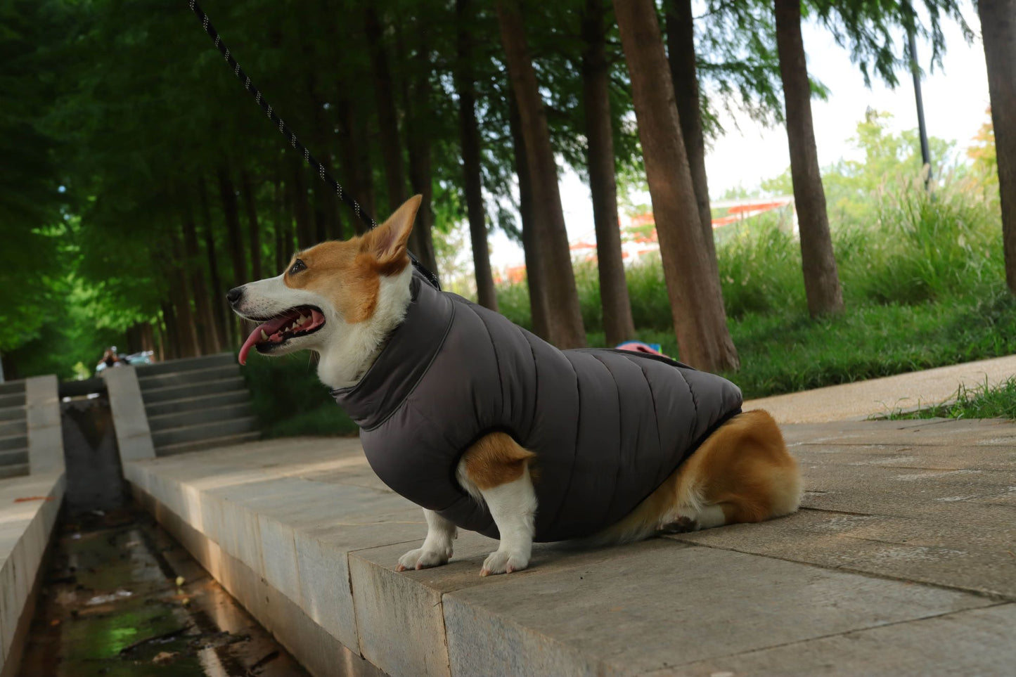 Reversible Puffer Dog Vest