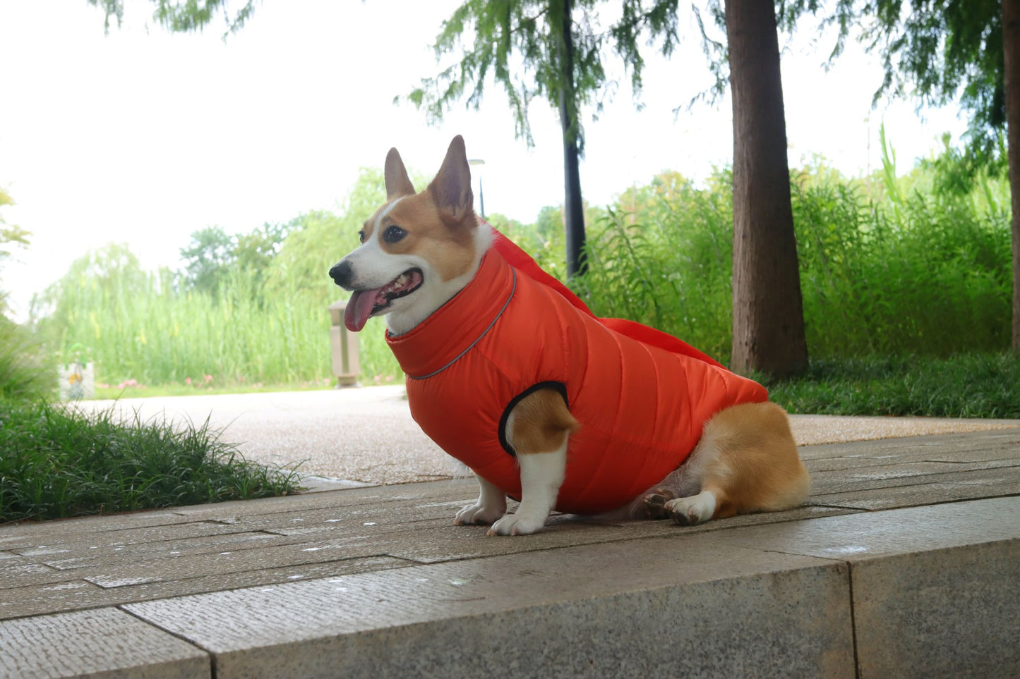 Reversible Puffer Dog Vest