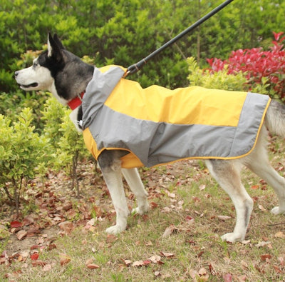 Two-Tone Waterproof Dog Raincoat