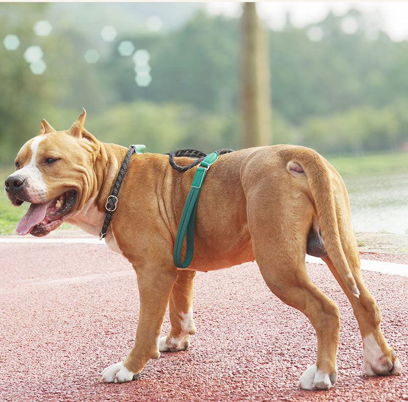 Reflective Rope Dog Leash with Soft Padded Handle