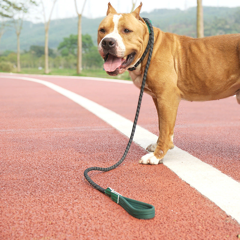 Reflective Rope Dog Leash with Soft Padded Handle