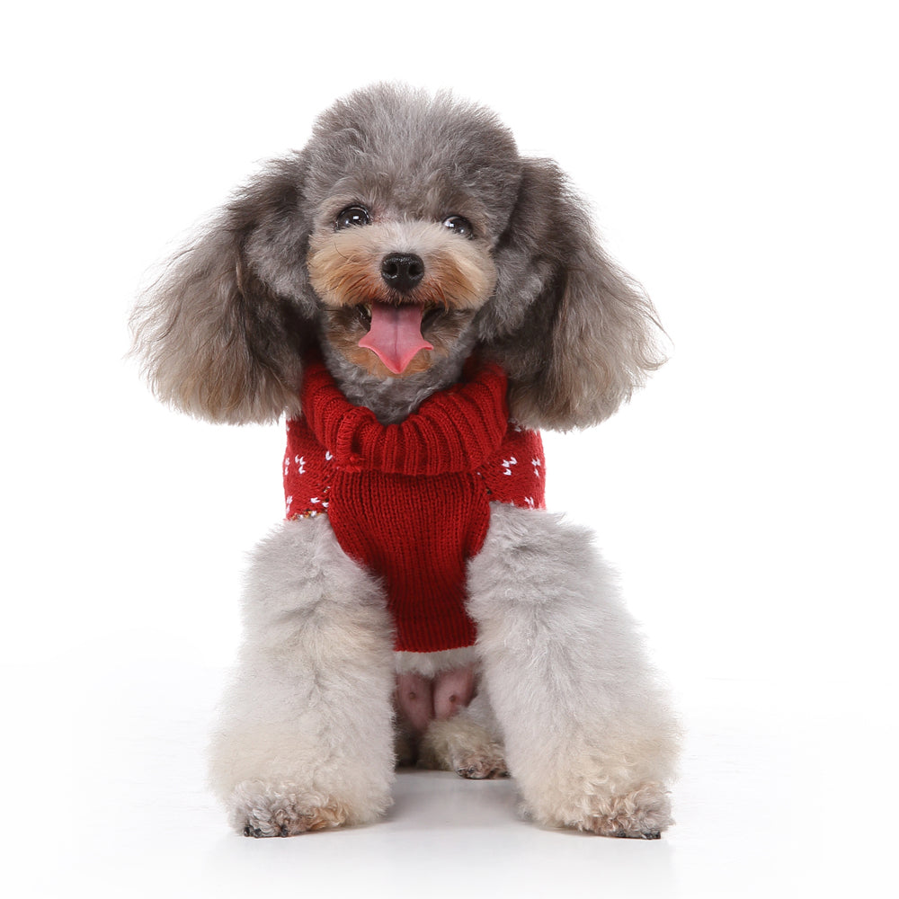 The Rudolph's Cozy Dog Sweater