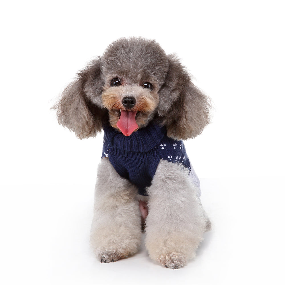 The Rudolph's Cozy Dog Sweater