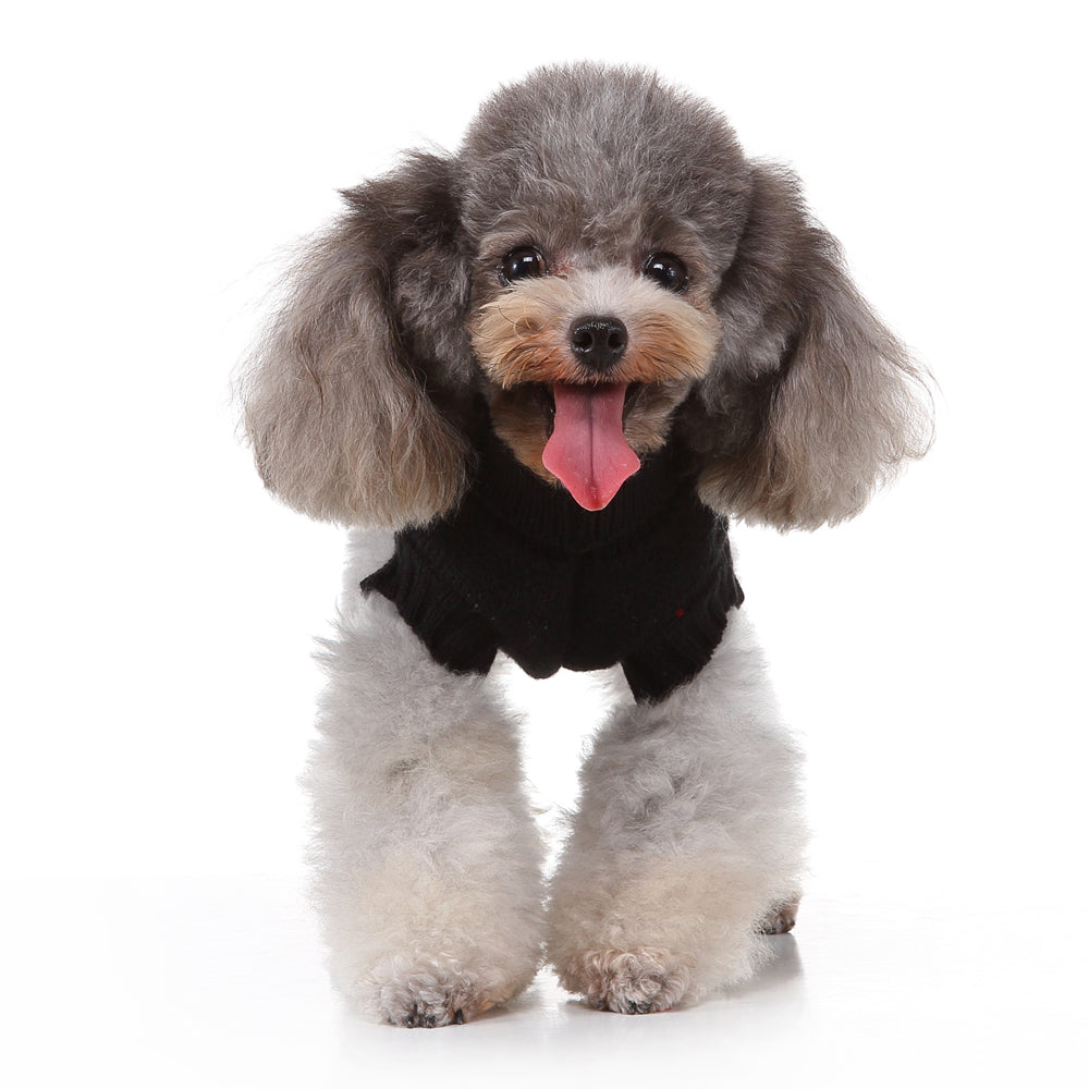 The Skull & Candy Canes Dog Sweater