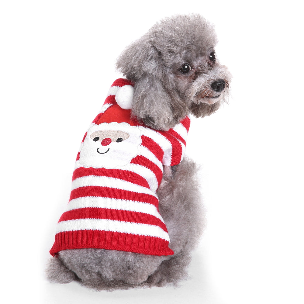 The Candy Cane Dog Sweater