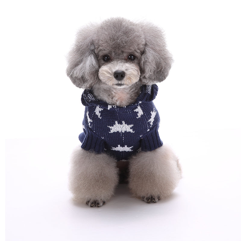 Starry Paw Hoodie