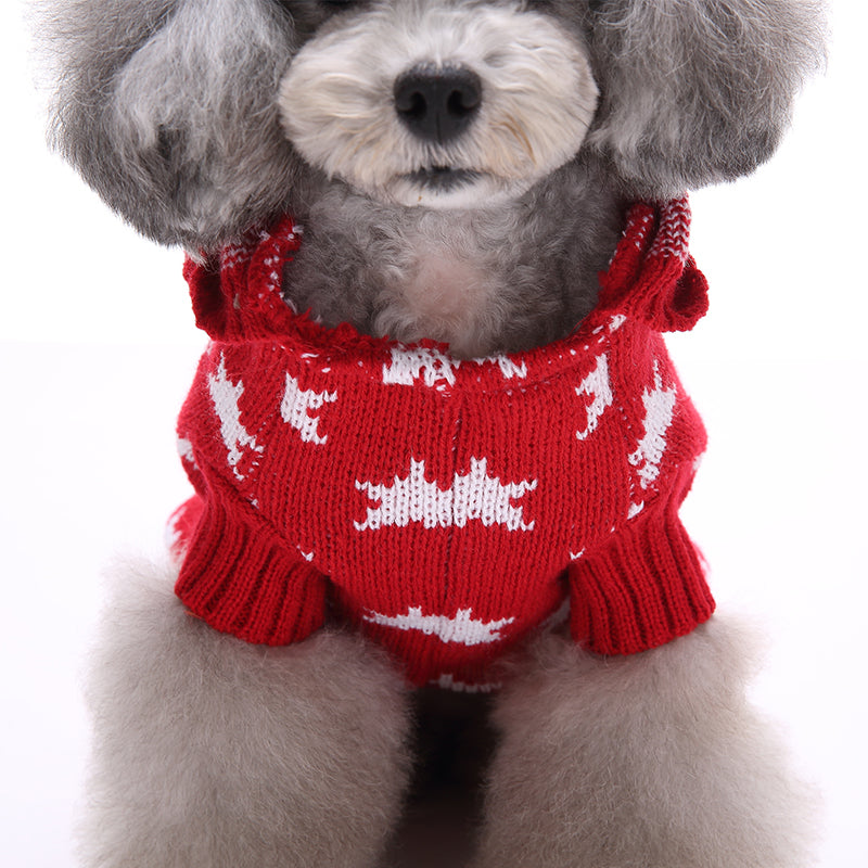 Starry Paw Hoodie