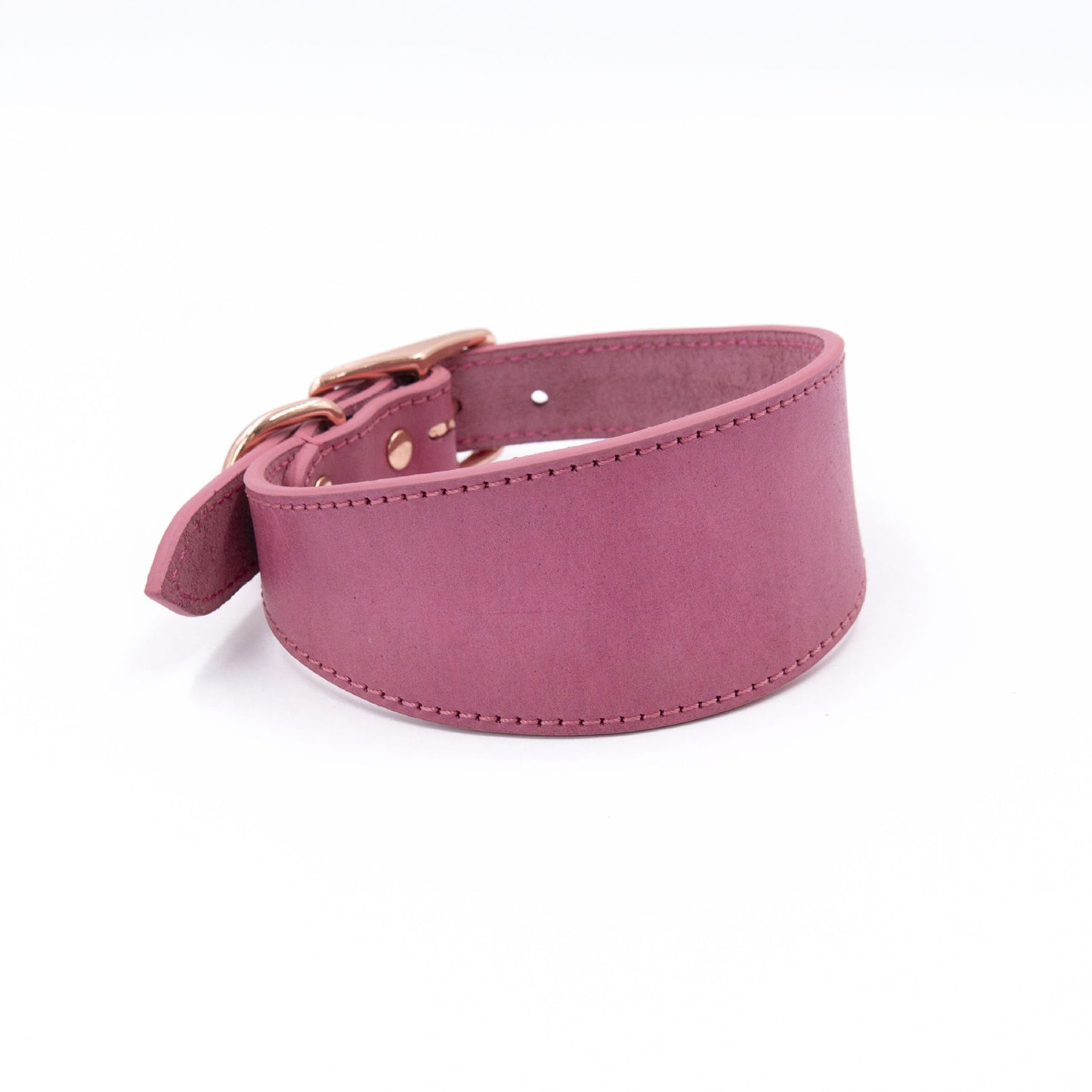 Premium Wide Leather Dog Collar