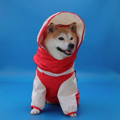 Raincoat