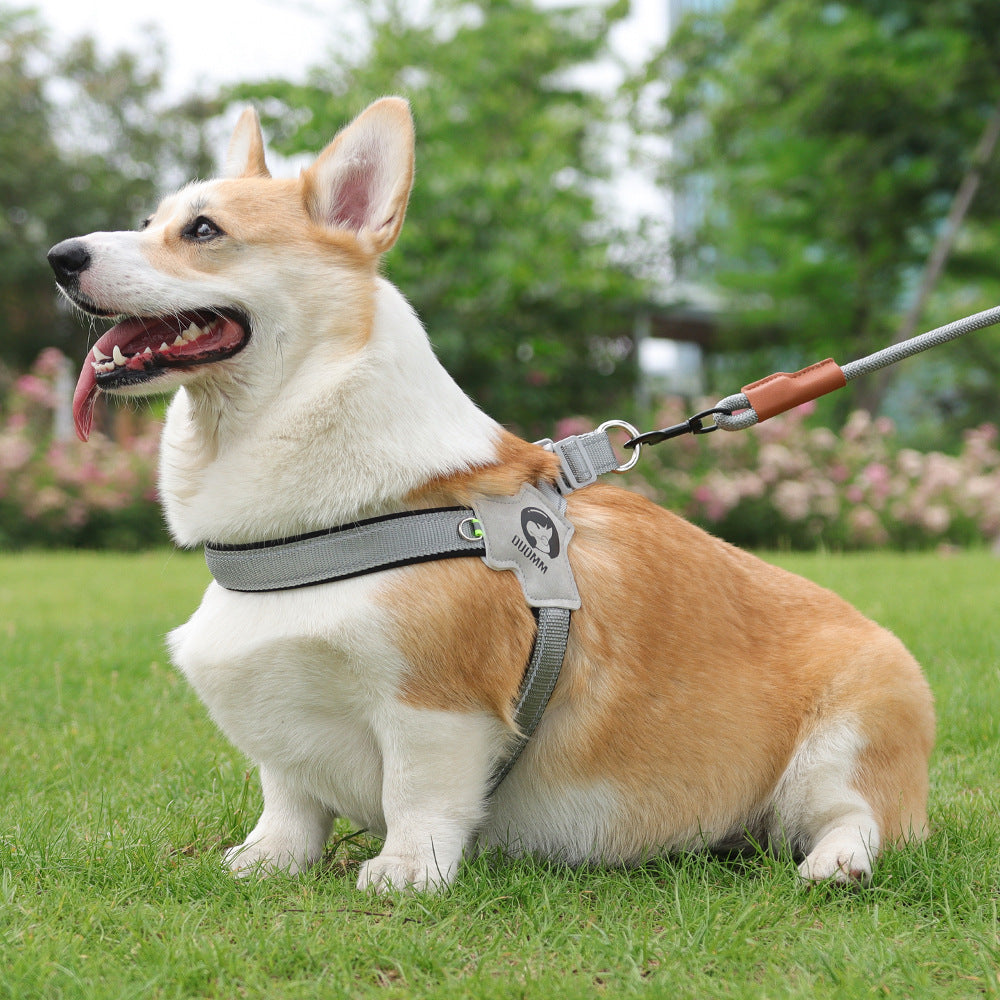 Reflective Adjustable Dog Harness