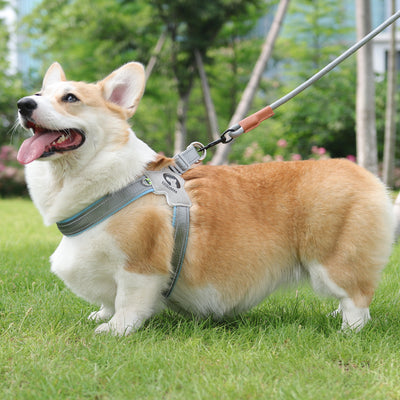 Reflective Adjustable Dog Harness