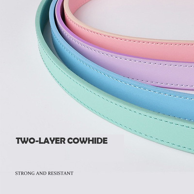 Pastel Leather Dog Leash