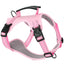Adjustable No-Pull Dog Harness with Metal Buckle