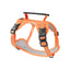 Adjustable No-Pull Dog Harness with Metal Buckle