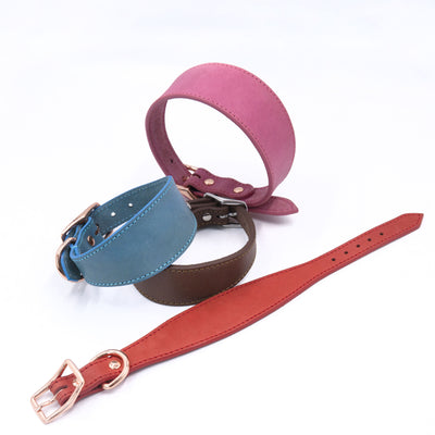 Premium Wide Leather Dog Collar