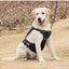 Tactical Dog Harness