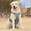 Tactical Dog Harness