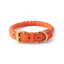 Braided Leather Dog Collar and Leash Set