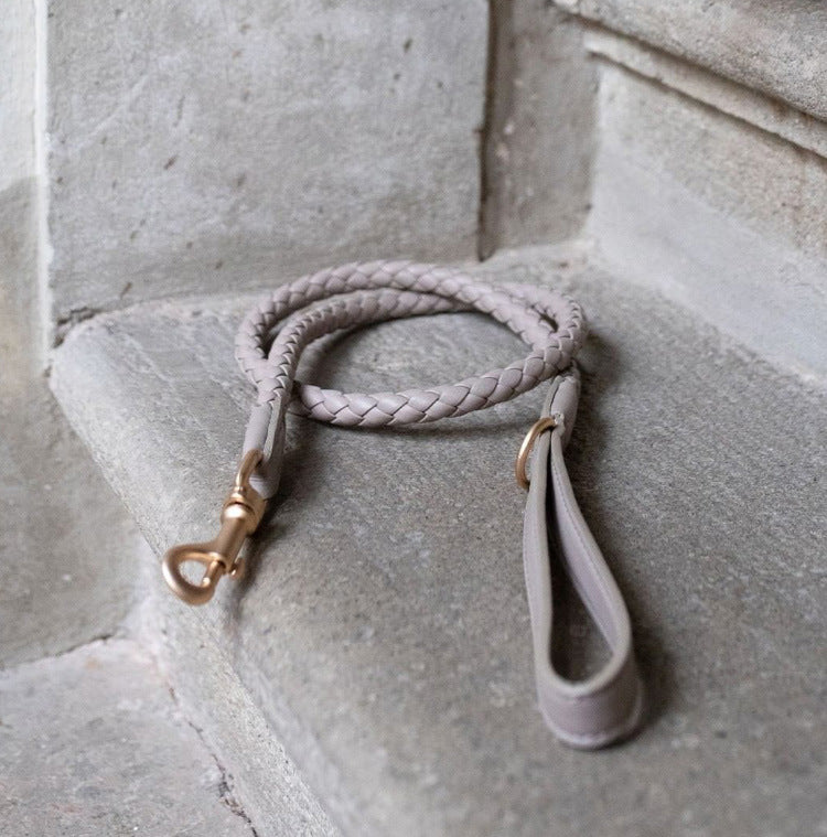 Braided Leather Dog Collar and Leash Set