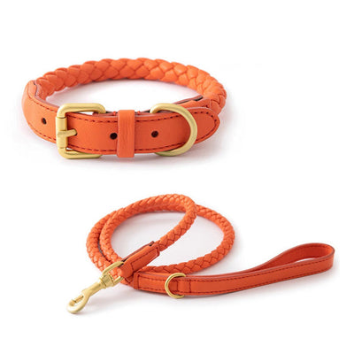 Braided Leather Dog Collar and Leash Set