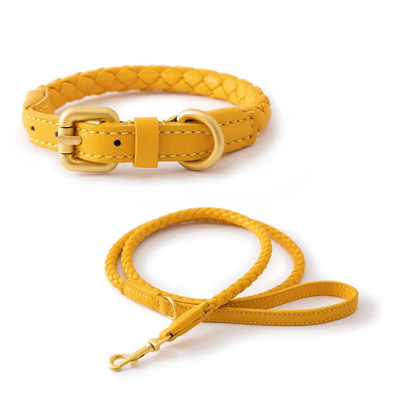 Braided Leather Dog Collar and Leash Set