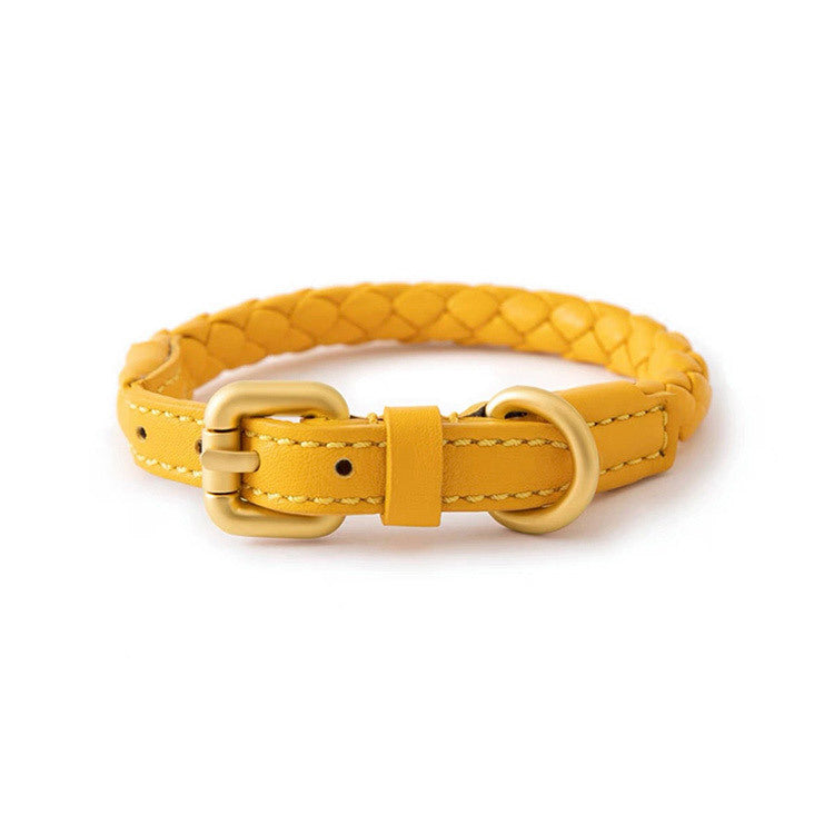 Braided Leather Dog Collar and Leash Set