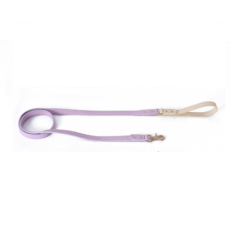 Pastel Leather Dog Leash