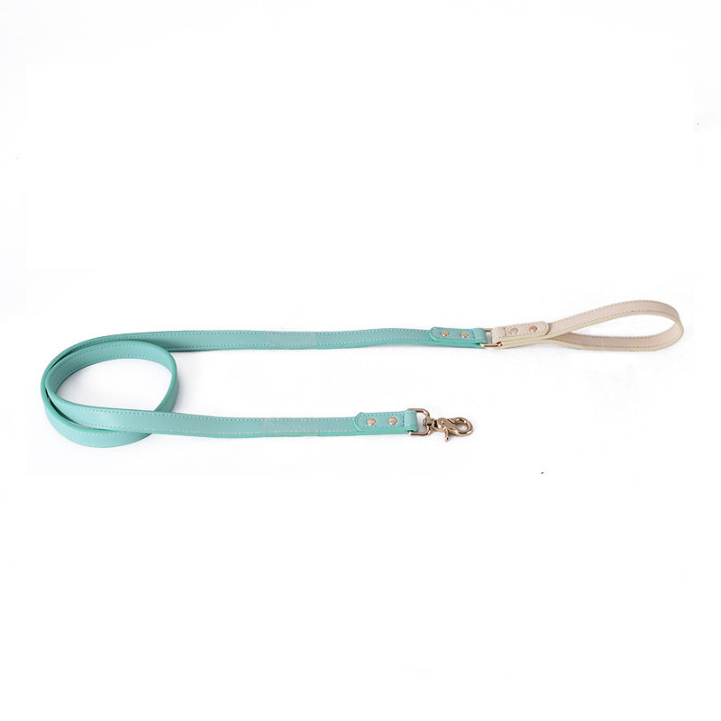 Pastel Leather Dog Leash