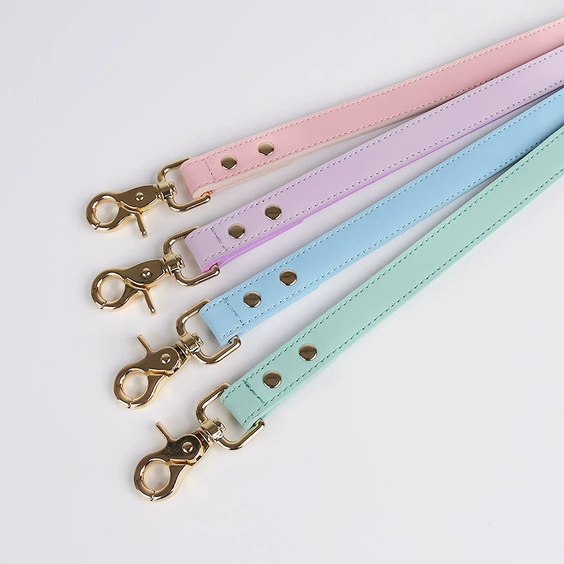 Pastel Leather Dog Leash