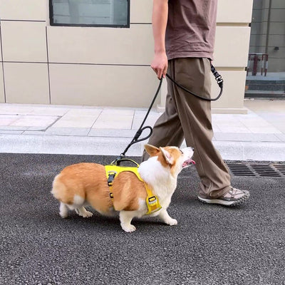 Reflective Adjustable Dog Harness