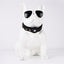 Leather AirTag Dog Collar