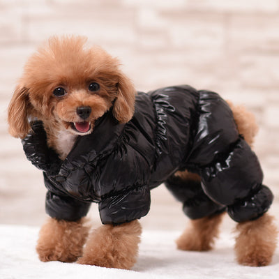 Cozy Full-Body Winter