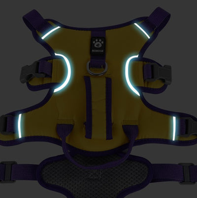 No-Pull Dog Harness with Front & Back Clips