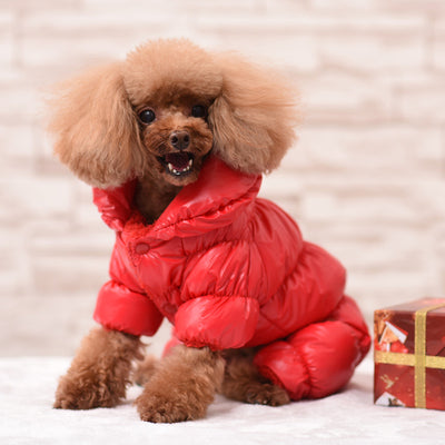 Cozy Full-Body Winter
