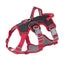 No-Pull Dog Harness with Front & Back Clips