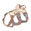 No-Pull Dog Harness with Front & Back Clips