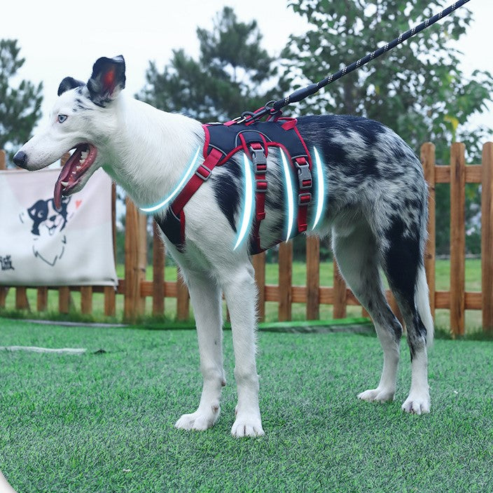 No-Pull Dog Harness with Front & Back Clips