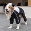 Panda-med Dog Raincoat