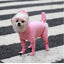 Waterproof Dog Raincoat