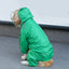Frog-med Dog Raincoat