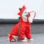 Dragon-med Dog Raincoat