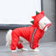 Dragon-med Dog Raincoat
